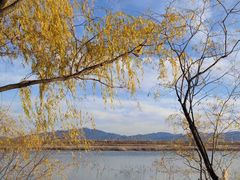 -野鸭湖国家湿地公园