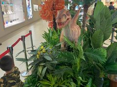 -宁波杉井奥特莱斯广场