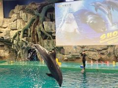 -威海华夏城景区