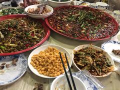 青椒兔-东吴霸王兔(松青路店)
