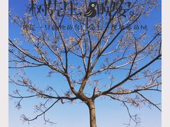 -汉长安城未央宫国家考古遗址公园