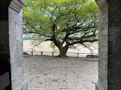 -江心屿景区