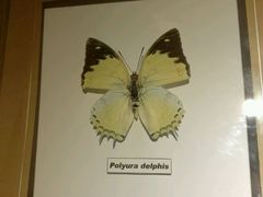 -上海昆虫博物馆