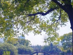 -艾溪湖湿地公园