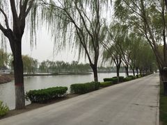 -白洋淀景区
