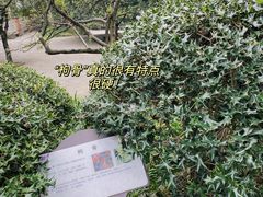 -南山植物园