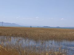 -野鸭湖国家湿地公园
