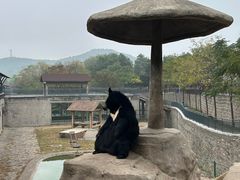 -石家庄市动物园