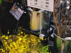 -优衣库(深圳万象天地旗舰店)