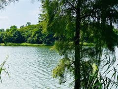 -飞来湖湿地公园