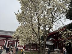-大慈恩寺(大雁塔)