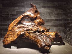 -乐山乌木文化博览苑