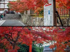 -天龙寺