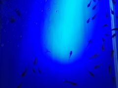 -汤里来温泉
