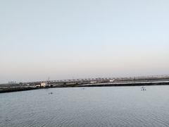 -大湾区中央湿地公园-十九涌