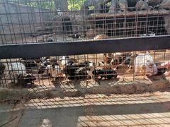 -海南热带野生动植物园