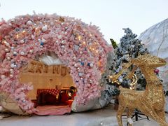 -天空花园餐吧·生日·团建(南山店)