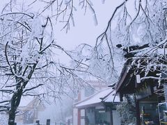 -峨眉山风景名胜区
