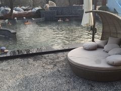 -骏途旅游