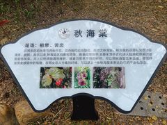 -东莞植物园
