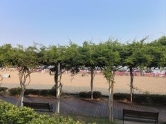 -碧海金沙