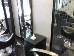 -维卡 Salon