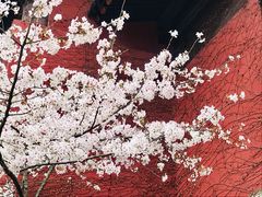 -华东政法大学松江校区-停车场