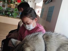 -Husky Go! 哈士奇体验馆·宠物咖啡厅狗咖