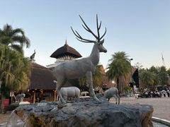 -清迈夜间动物园