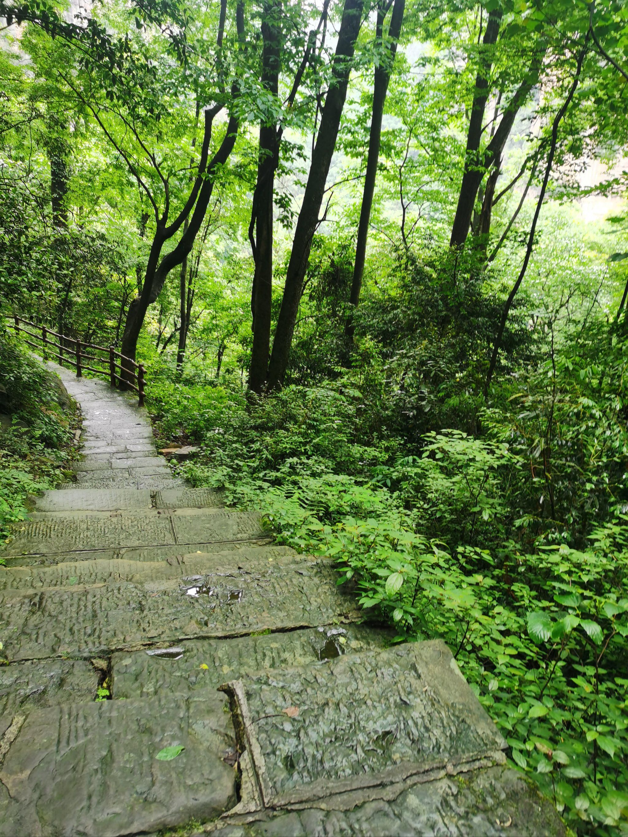 曲径通幽的山间路