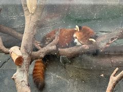 -武汉动物园