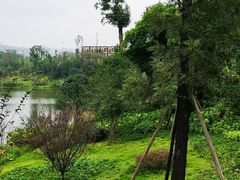 -枫香湖儿童公园