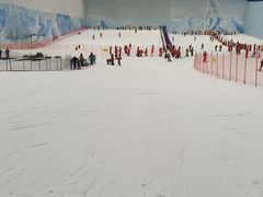 -哈尔滨热雪奇迹
