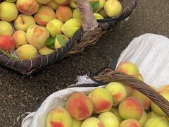 -老三羊汤【北兴隆街店】