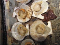 -阪尚皇·原切牛排·烤肉火锅自助(北京路店)