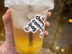 -珠海市体育中心-游泳馆