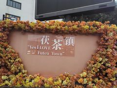 -茯茶镇