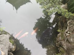 -胡雪岩故居
