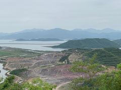 -黄贤森林公园