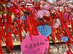 -祥源·阜阳生态乐园