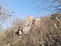 -白水寺森林公园