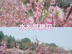 -木兰水镇旅游景区