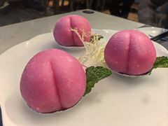 -点都德·毕德寮