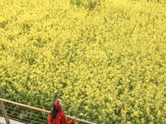 -中国天府农业博览园