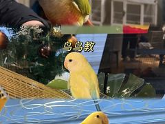 -星聚会KTV(合生汇黑金店)