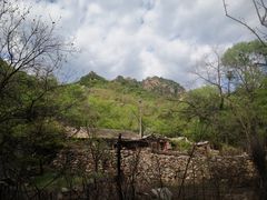 -大岭沟猕猴桃谷风景区