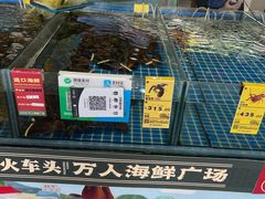 -鸿港海鲜批发市场