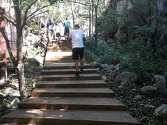 -大岭沟猕猴桃谷风景区