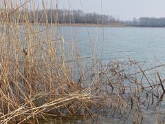 -野鸭湖国家湿地公园