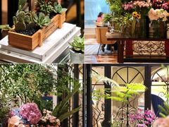 -深圳威尼斯英迪格酒店-邻芙花廊下午茶·NINFA GALLERY·蛋糕·咖啡